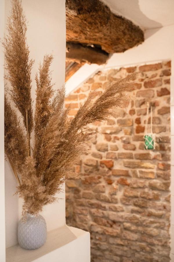 Montecosaro  La Trave Bed & Breakfast エクステリア 写真